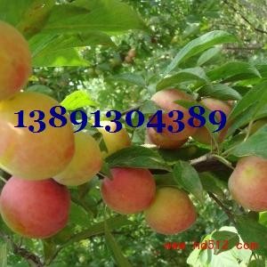 ������Ӄr������t�������Ӯa�ؼt��ʯ�������l���������Ӵ��k