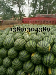 ����f�������������Ϯa(ch��n)�����������Ϯa(ch��n)�؃r��