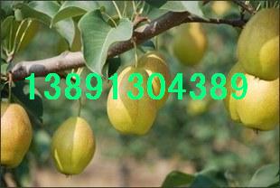 ������������a(ch��n)�ؼt������a(ch��n)��