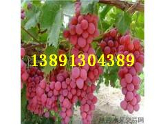 ��������t�����Ѯa�����уr��t�����ѻ���