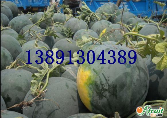 ����������ϻ��غڻ��o�����Ϻ��������Ϯa(ch��n)��