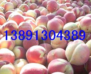 �������ë�һ���200-1�Үa�����A���҃r���r�����l