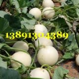 �������������Ϯa�����l��������