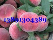 �������ë�һ�������ë�Үa�����l