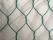 ���w�S�ҹ���ʯ�\�W��  ���e�W �����Ѵ�o�¾W