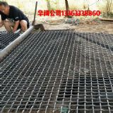 �����B�i䓽z�W �B�i���׾W   ܈���WƬ