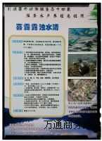 ϲ¶¶��ˮ��