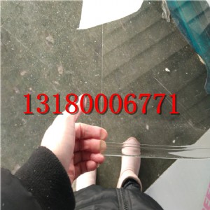 ʮ���C������S��