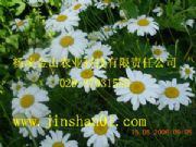 ����(y��ng)���x�� ���x�շN��(�D)