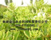 ���y�� ���y���N��(�D)