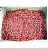 õ�廨��ȡ��Rose P.E.(�D)