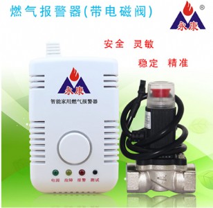 �N��ȼ��й©��������늴��y����y