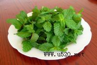 ���������㾫