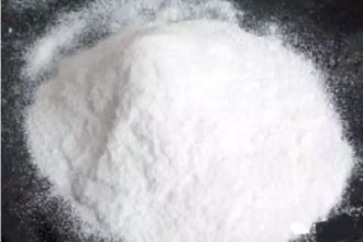 �۱�ϩ��������͚���|��̽�@̽�@�����{̎�턩�����o�ڄ�������