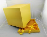 ����ľ��