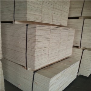 �ع������O(sh��)����b��lvl�ΰ�ӷe��