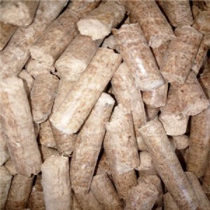 �����|�w�� �h��偠tȼ��ľм�w��