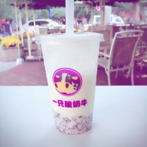 �x�����һֻ����ţ�����̲���ʲô���@ô�ɹ�