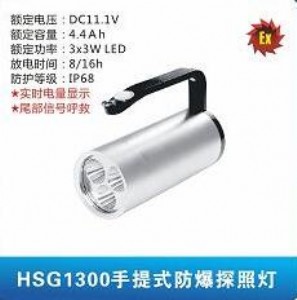 hsg1300����ʽ����̽�՟�