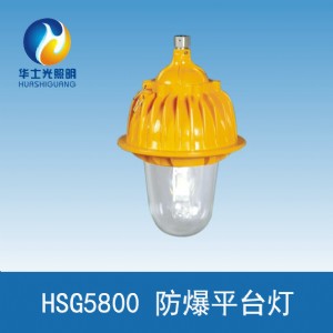 �Aʿ��hsg5800��(n��i)��������