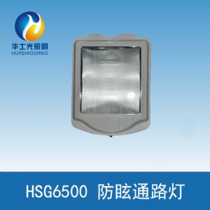 �Aʿ��hsg6500��ѣͨ·��S��ֱ�N