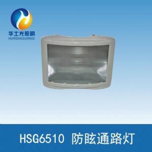 �����Aʿ��hsg6510��ѣͨ·��