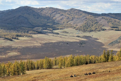 ���ڹ�˾�x�����ӛ�~��������ϼ�Ҫ��һ�[