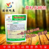 制作黃儲青儲的發(fā)酵劑