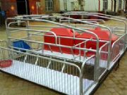 �Ҽ������B�i�O��ĸ�i�a��ĸ�i���䴲