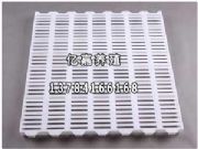 ����(y��ng)����©�S�ذ�