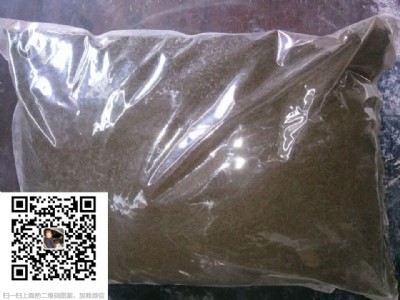 �������؄� CO�߻��� �������؄�CO�߻���