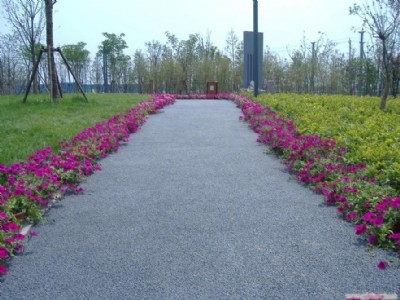 �V����ɫ��������ƺ������