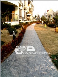 ������ɫ���е���ƺ������