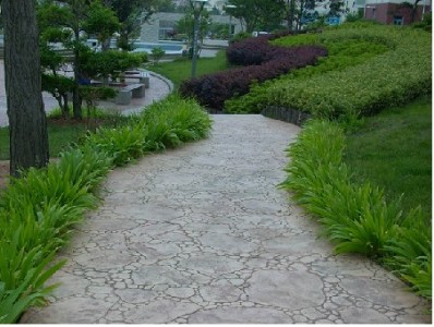 ���ϲ�ɫ���^��ƺ������