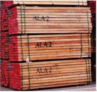 �S��ֱ�N����ľľ�I���