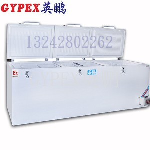 ���ˎ�������Pʽ����