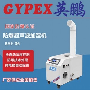 ������ˎ�S���������ӝ���6kg