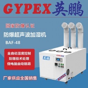 ���K܊���S���������ӝ���48kg