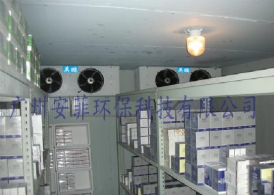 ���ˎ���������