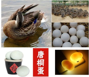 唐桐蛋 鴨蛋 唐河特產(chǎn) 南陽(yáng)特產(chǎn) 禮盒裝40枚 鮮蛋128元