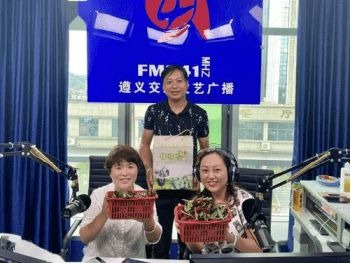 ���x��ͨ�V��fm94.1�V��Ͷ�Ńr�����x��_��Ŀ����