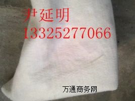 ����(y��ng)������ ����Ĥ �������