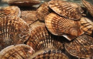 �ṩ�M�ڈ��P���M�ں��r������P