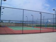 �@������x���W(w��ng)���W(xu��)У�@������o(h��)���ڣ�ֱ�N�@����؇��ھW(w��ng)