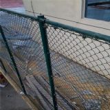 �W(xu��)У�w���Gɫ���ڣ��w�������o(h��)���W(w��ng)�S�ң��\(y��n)�ӈ��ظ��x�þW(w��ng)