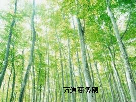 ����ؓ�x�����턩 ؓ�x���h�t�⾀���턩