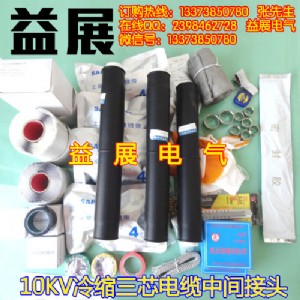 jls-10kv/3.1��25-50����о��s���g���^