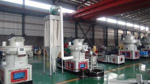 ľм�w���C|�����w���C|ľ���w���C