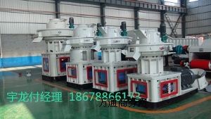 �ĩ�w���C|ľм�w���C|�����w���C