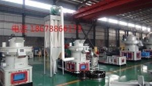 �����|ȼ���w���C